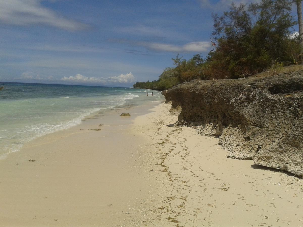 Higala Resort Đảo Đảo Panglao Ngoại thất bức ảnh